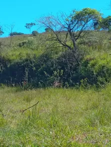 Fazenda/Sítio à venda, 20000m² no , Piracaia