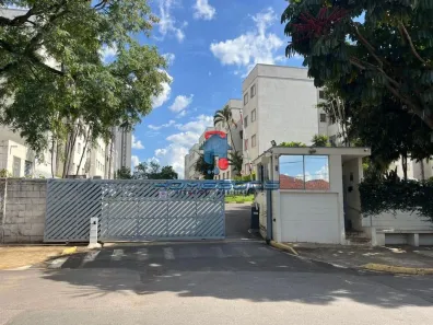 Apartamento com 2 Quartos à venda, 55m² no Jardim Miranda, Campinas