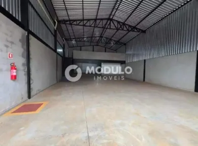 Galpão/Depósito/Armazém para alugar, 300m² no Alto Umuarama, Uberlândia