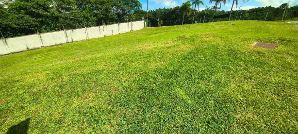 Lote/Terreno à venda, 620m² no Granja Viana, Carapicuíba