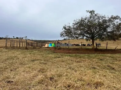 Fazenda/Sítio com 1 Quarto à venda, 53m² no , São José da Varginha