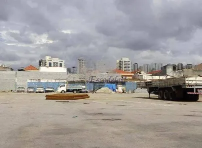 Lote/Terreno para alugar, 8000m² no Carandiru, São Paulo