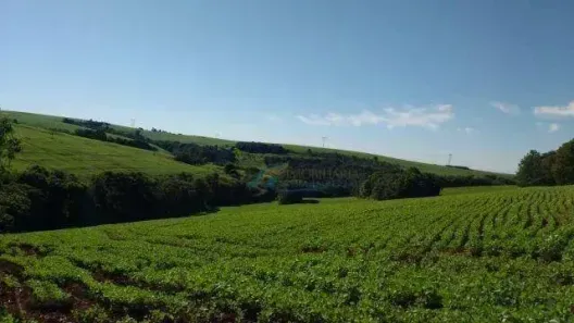 Fazenda/Sítio à venda, 314600m² no Alto Alegre, Cascavel