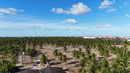 Lote/Terreno com 1 Quarto à venda, 280400m² no Nova Esperança, Parnamirim