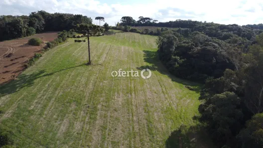 Fazenda/Sítio à venda, 36300m² no Guajuvira, Araucária