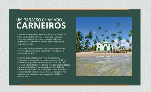 Apartamento com 1 Quarto à venda, 18m² no , Tamandaré