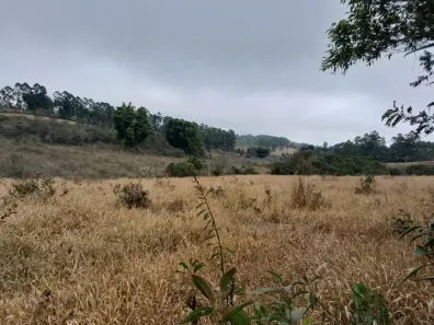 Fazenda/Sítio à venda, 150000m² no , Desterro de Entre Rios