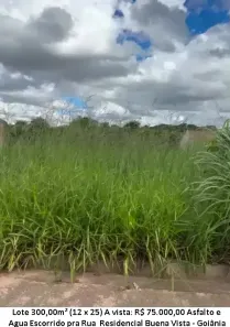 Lote/Terreno à venda, 300m² no Residencial Buena Vista I, Goiânia