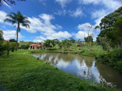 Fazenda/Sítio com 2 Quartos à venda, 6500m² no Rural, Toledo