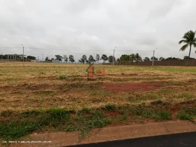 Lote/Terreno à venda, 300m² no Residencial Veneza, Regente Feijó