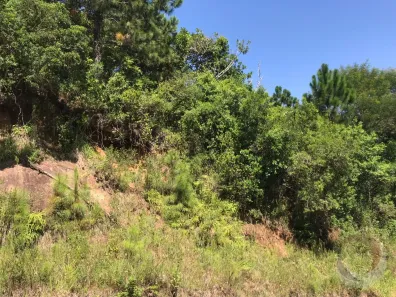 Lote/Terreno à venda, 722m² no Itacorubi, Florianópolis
