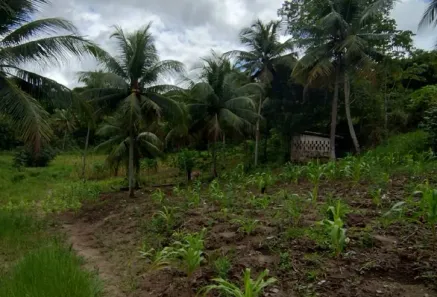Lote/Terreno com 1 Quarto à venda, 40000m² no Área Rural de Igarassu, Igarassu