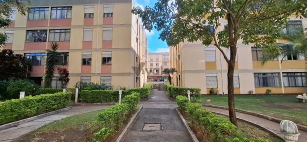 Apartamento com 4 Quartos à venda, 85m² no Vila João Jorge, Campinas