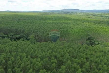 com 2 Quartos à venda, 2640000m² no , Corinto