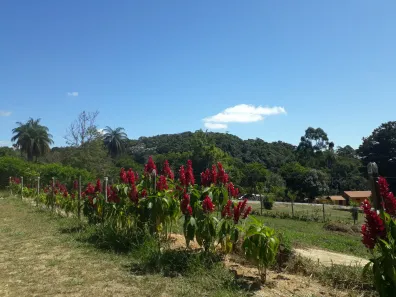 Lote/Terreno à venda, 20000m² no Roças Novas, Caeté
