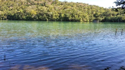 Fazenda/Sítio com 2 Quartos à venda, 10000m² no Conjunto Alvorada, Uberlândia