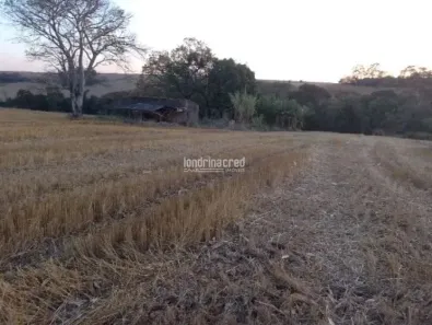 Lote/Terreno à venda, 40000m² no , Ibiporã