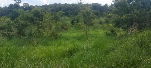 Fazenda/Sítio à venda, 120000m² no , Itaguara