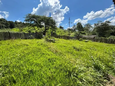 Fazenda/Sítio com 3 Quartos à venda, 72600m² no , São Sebastião do Paraíso