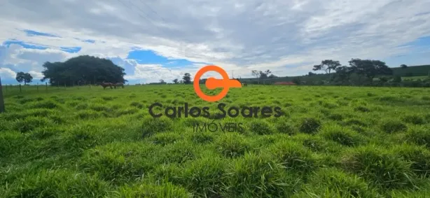 com 1 Quarto à venda, 10m² no Cidade Nova, Franca