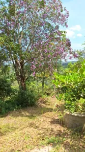 Fazenda/Sítio com 1 Quarto à venda, 50m² no Jardim das Cerejeiras, Arujá