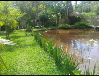 Fazenda/Sítio com 2 Quartos à venda, 80m² no Jardim Satélite, São José dos Campos