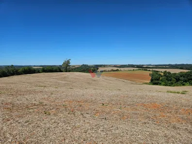 Fazenda/Sítio com 1 Quarto à venda, 67700m² no Área Rural de Araucária, Araucária