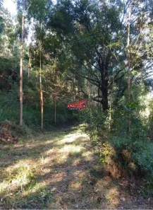 Lote/Terreno à venda, 56000m² no , Espera Feliz