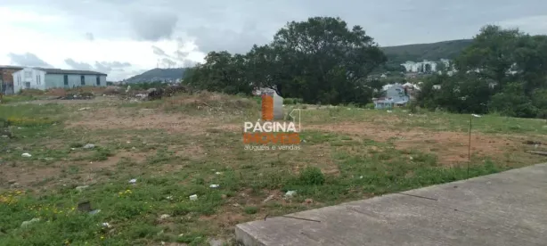 Lote/Terreno à venda, 10000m² no Cristal, Porto Alegre