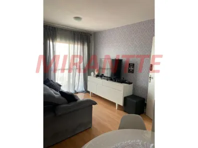 Apartamento com 2 Quartos à venda, 58m² no Vila Santa Catarina, São Paulo