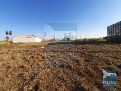 Lote/Terreno para alugar, 700m² no Jardim Araucária, São Carlos