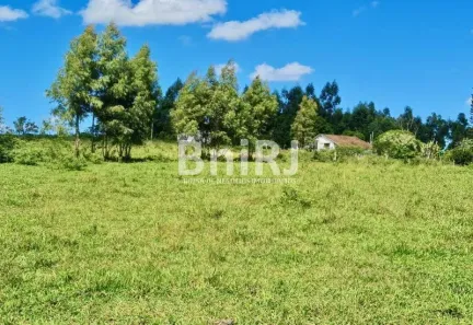 Fazenda/Sítio com 10 Quartos à venda, 250m² no São Vicente de Paula, Araruama