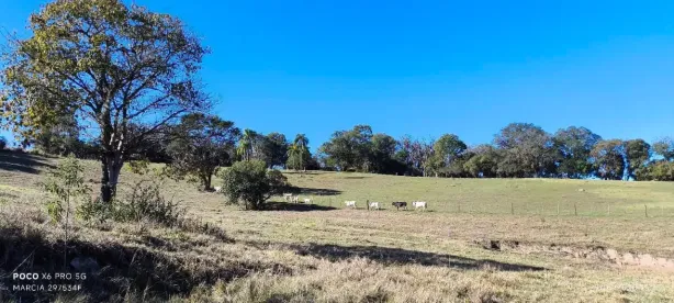 Fazenda/Sítio com 1 Quarto à venda, 60m² no , Angatuba