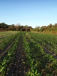 Fazenda/Sítio com 2 Quartos à venda, 200m² no Área Rural de Cuiabá, Cuiabá