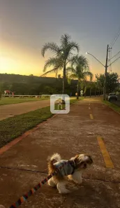 Apartamento com 2 Quartos para alugar, 73m² no Loteamento Portal do Vale II, Uberlândia