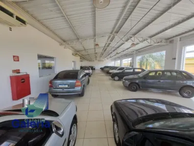 Galpão/Depósito/Armazém para alugar, 185m² no Vila Tibério, Ribeirão Preto