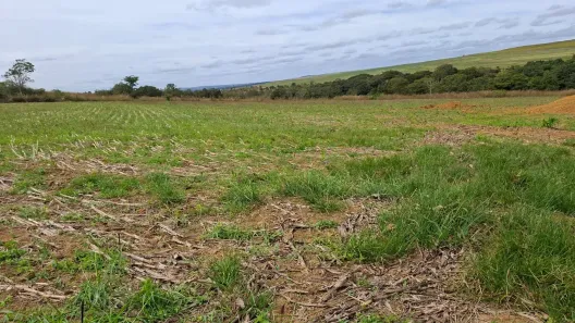 Fazenda/Sítio à venda, 32000m² no Área Rural do Paranoá, Brasília