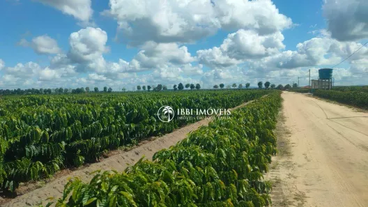 Fazenda/Sítio à venda, 406076000m² no Ba156, Brotas de Macaúbas