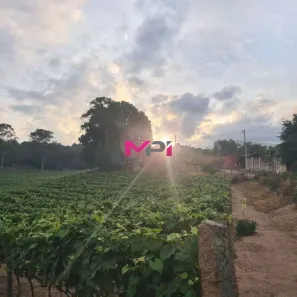 Lote/Terreno à venda, 2598m² no Santa Eliza, Itupeva