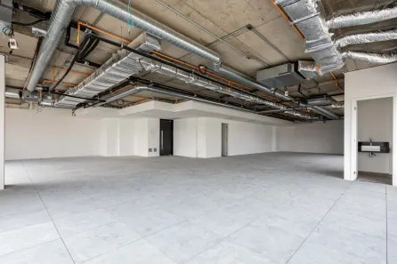 Ponto Comercial para alugar, 450m² no Ponte Pequena, São Paulo