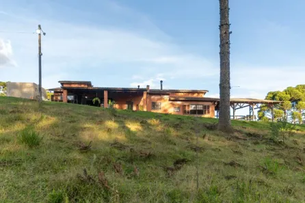 Fazenda/Sítio com 3 Quartos à venda, 426m² no Salgadinho, Campo Largo