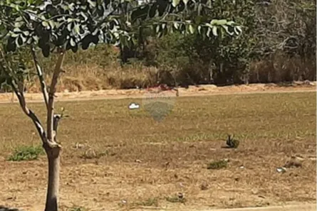 Lote/Terreno à venda, 224m² no Loteamento Parque das Rosas, Rondonópolis