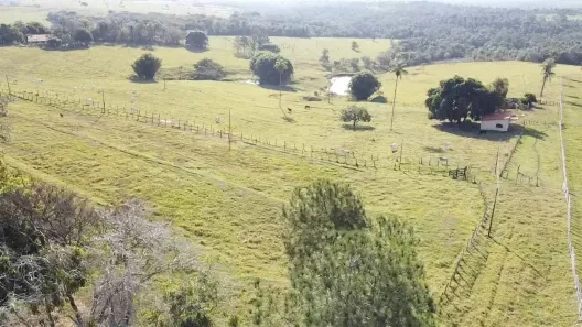 Fazenda/Sítio à venda, 164560m² no Juquiratiba, Conchas