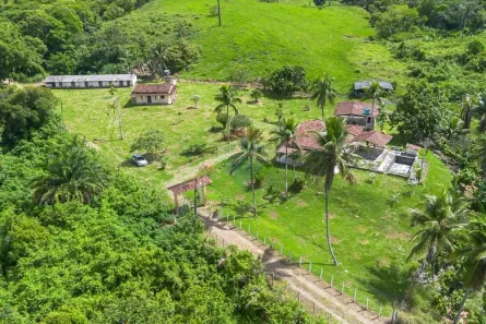 Fazenda/Sítio com 5 Quartos à venda, 108900m² no , Nazaré