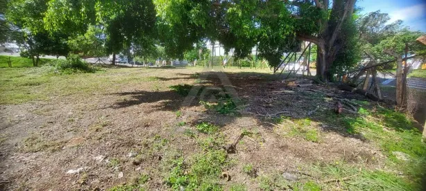 Lote/Terreno para alugar, 1010m² no Jardim Leonor, Campinas