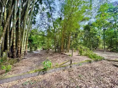 Lote/Terreno à venda, 6639m² no Gaivota (Interior), Itanhaém