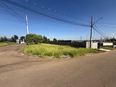 Lote/Terreno à venda, 355m² no Cará-cará, Ponta Grossa