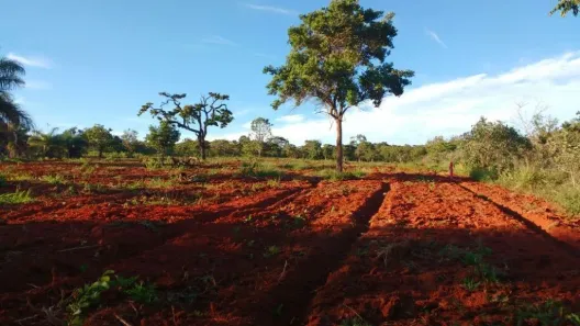 Lote/Terreno à venda, 20000m² no Jaboticatubas, Jaboticatubas