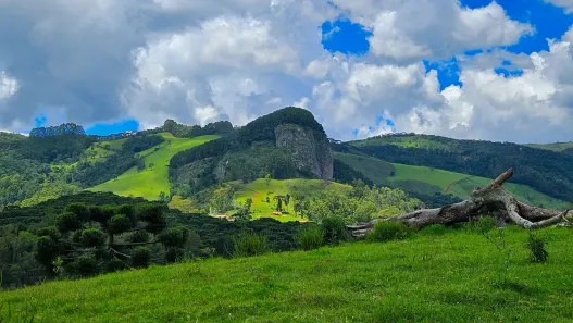 Lote/Terreno à venda, 47500m² no , Gonçalves