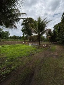 Fazenda/Sítio com 1 Quarto à venda, 120m² no Rural, Serra Azul